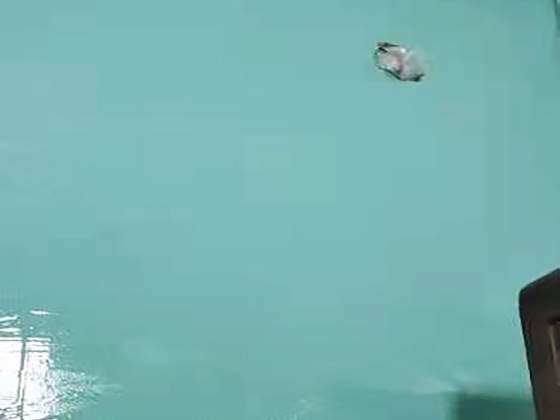 新鄉(xiāng)市漏水探測多少錢一次,暗水管檢測